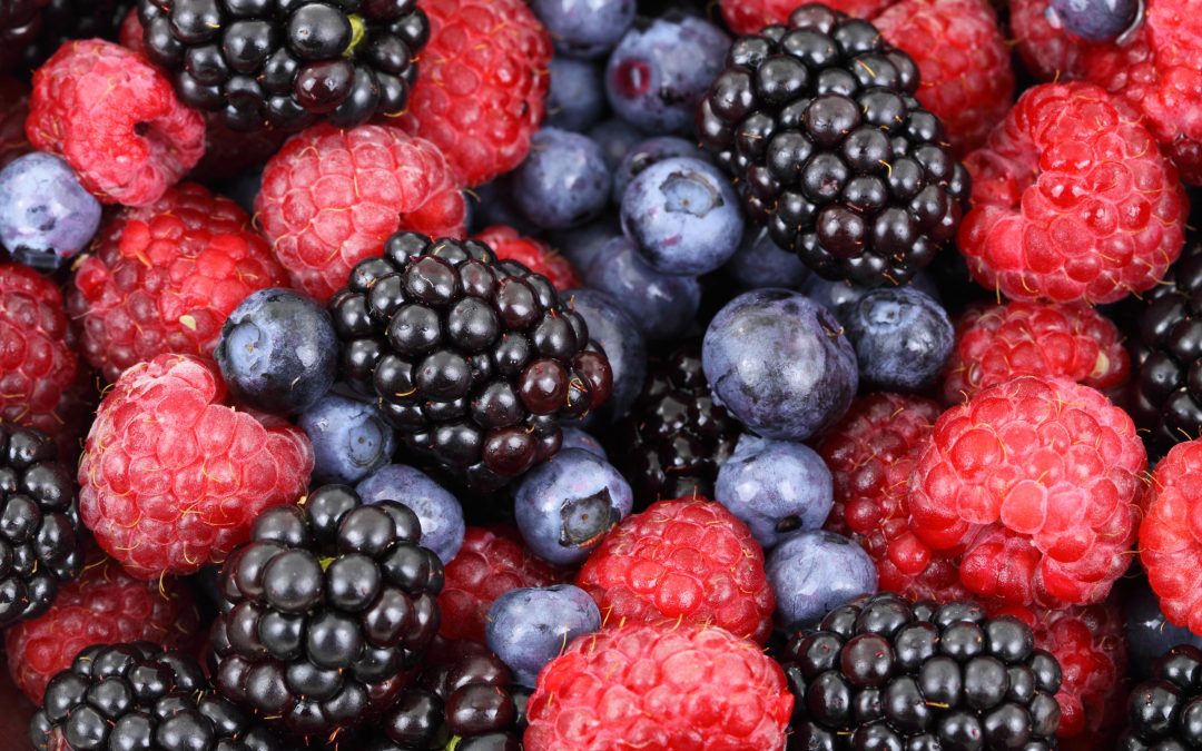 Top 10 Superfoods to Kickstart a Healthier Diet